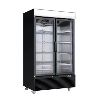 Single Temperature 7A 2 Glass Door Freezer Merchandiser 110V 60HZ