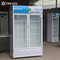 Single Temperature 7A 2 Glass Door Freezer Merchandiser 110V 60HZ