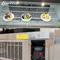 Digital Bakery Cooling Showcase 12 Cu.Ft Curved Display Fridge